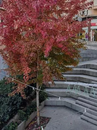 Διαμέρισμα Antic Bajos *