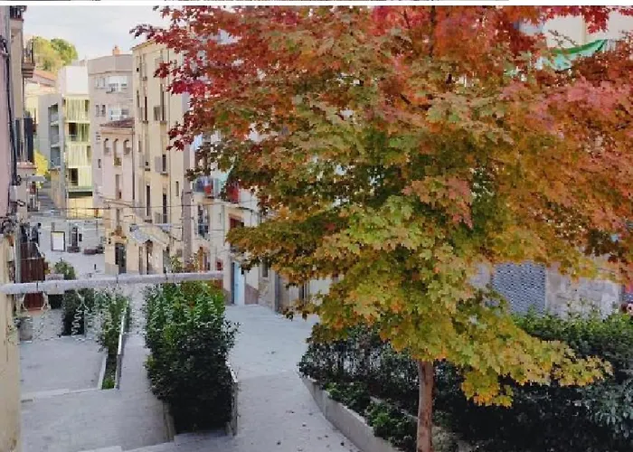 Antic Nou Appartement *